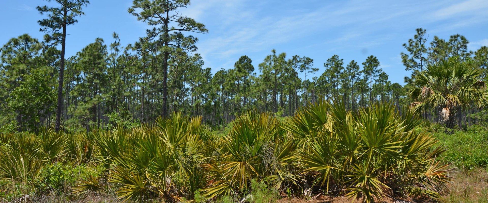 Exploring Parks and Trails in Palm Coast, Florida