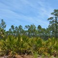 Exploring Parks and Trails in Palm Coast, Florida