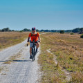 Exploring Bike Trails in Palm Coast, Florida