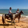 Exploring Flagler Beach Neighborhoods: A Comprehensive Guide