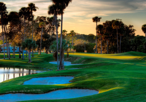 Discover the Best Golf Courses in Palm Coast Florida