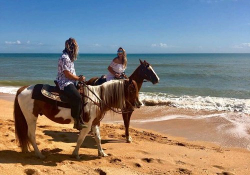 Exploring Flagler Beach Neighborhoods: A Comprehensive Guide
